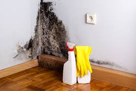 Best Dehumidification Services in Greenville, PA